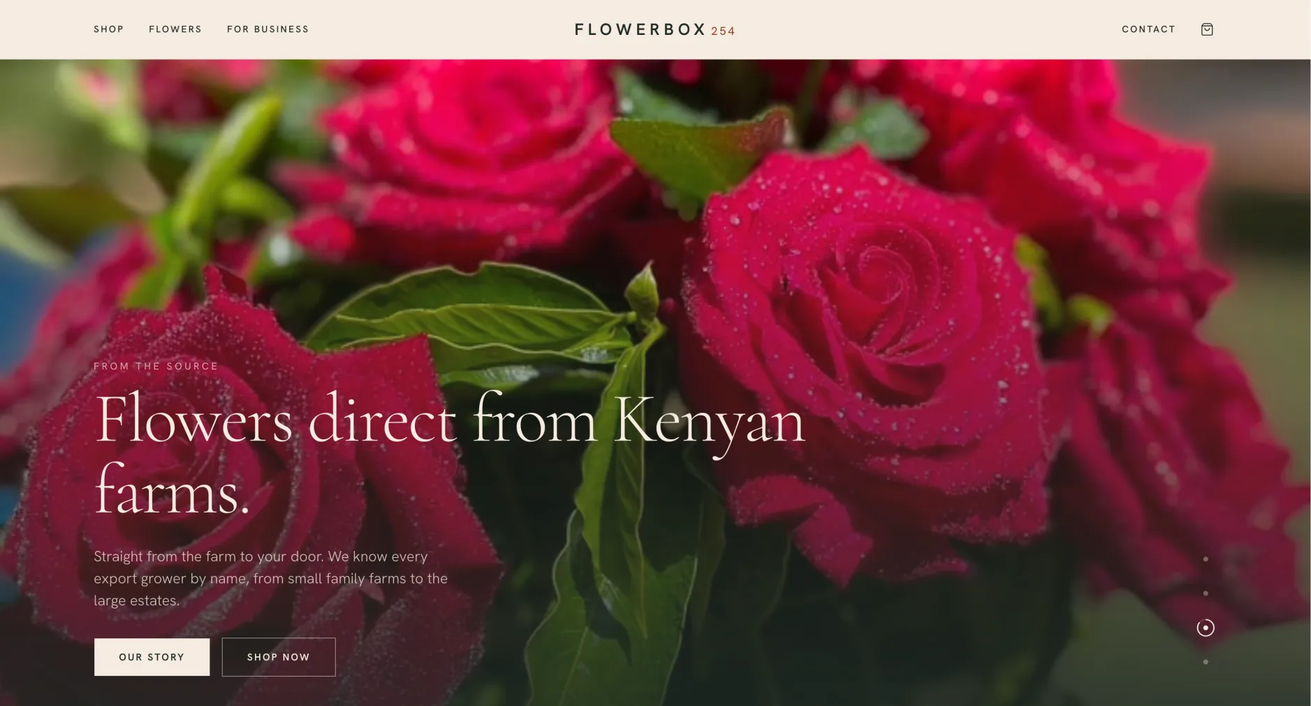 Flowerbox254 store, product catalogue view